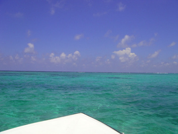 DSC00343.JPG