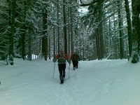 29012010(020).jpg Photo