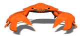 [crab_staredown_md_wht[2].gif]