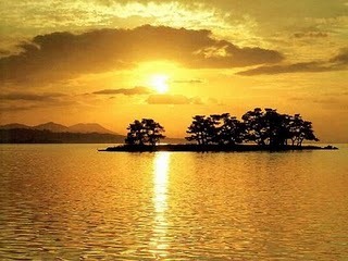 [167542_photo[3].jpg]