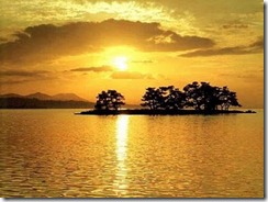 167542_photo