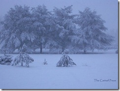 snowstorm_wl