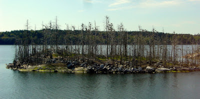 P1160722-1.JPG