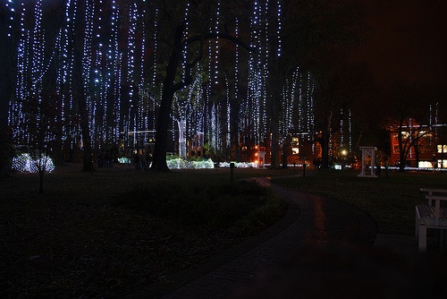 [lights[3].jpg]