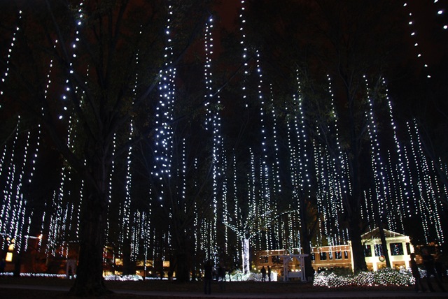 [lights3[3].jpg]