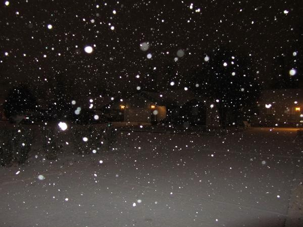 [snow[1].png]