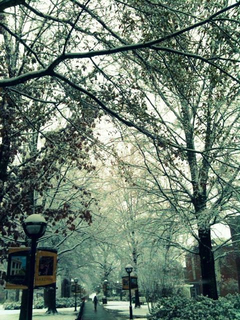 [snow3[6].jpg]