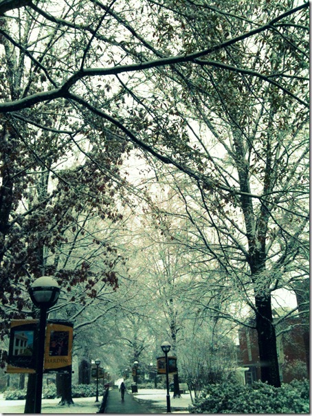snow3