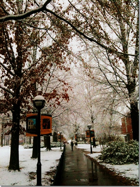 snow