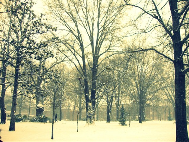 [snowday![5].jpg]