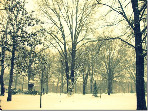 snowday!