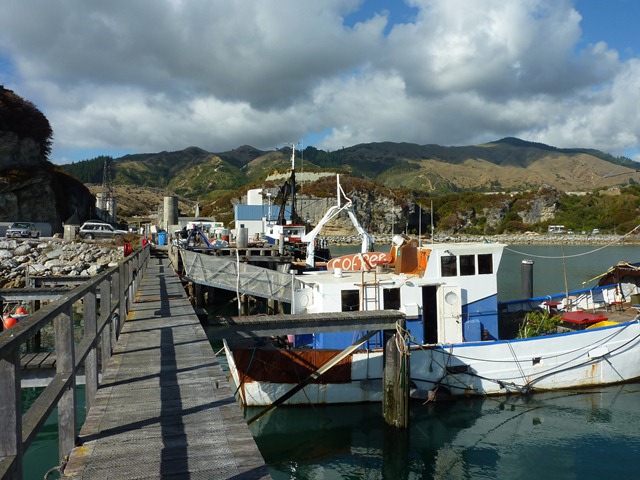 [P10107082.jpg]
