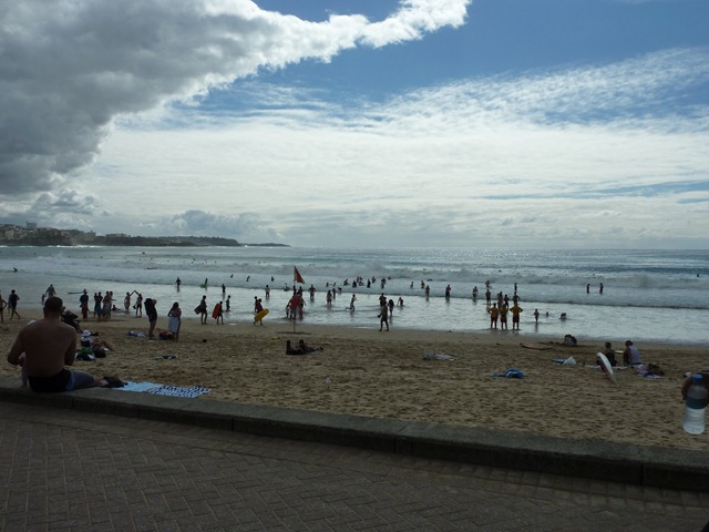 [P10009622.jpg]