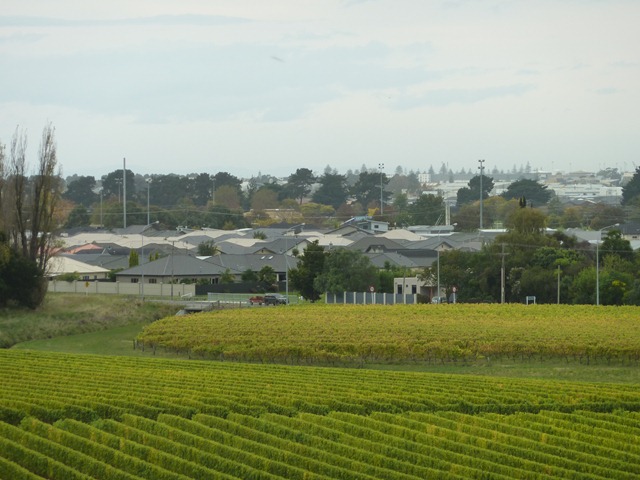 [P1010382[2].jpg]