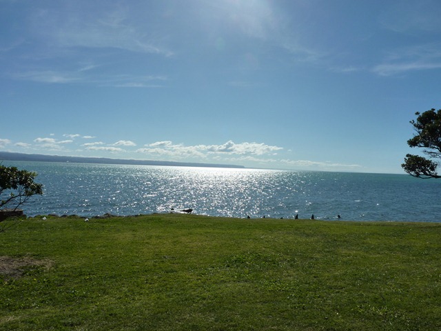 [P10102842.jpg]