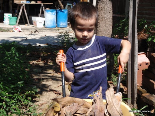 mi bebe trabajando en el jardin como todo un ninio grande