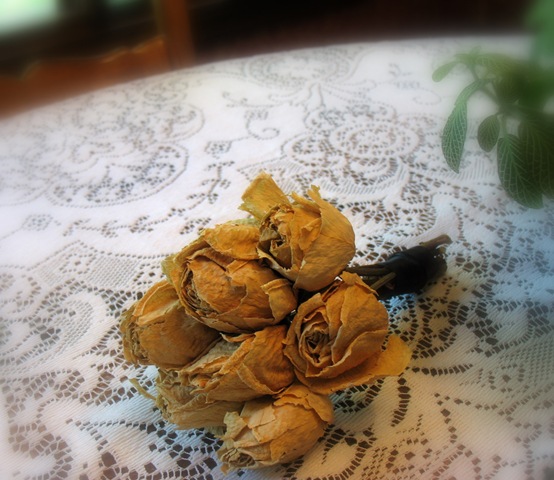 [roses[7].jpg]