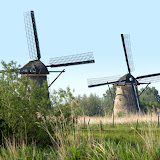 DSC_1358.jpg