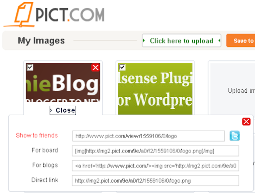 pict free Image Hosting and Photo sharing site
