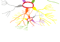 map8 map8