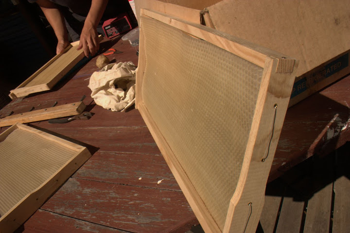 On applique les plaquettes de cire sur les frames