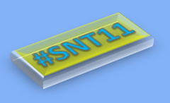 #snt11