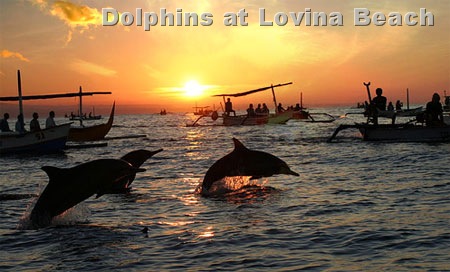 [lovina-sunrise-dolphin[12].jpg]