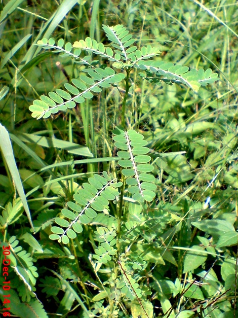 DSC04745 DSC04745