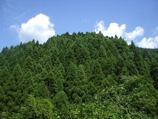 DSCF9014.JPG