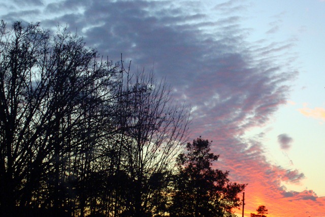 [WinterSkies0015.jpg]