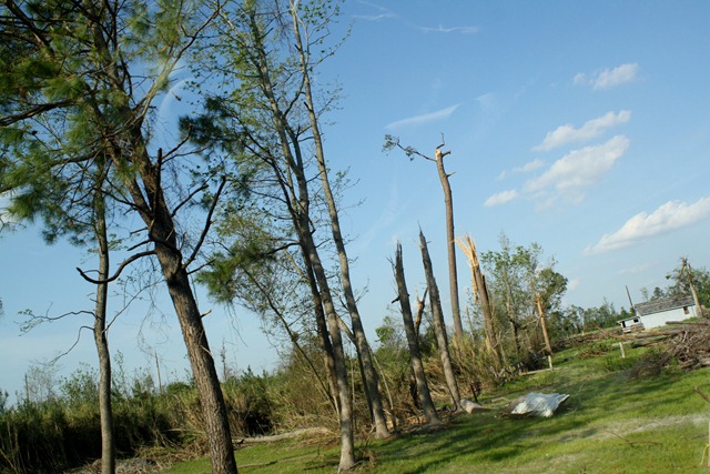 [TornadoApril201105011.jpg]
