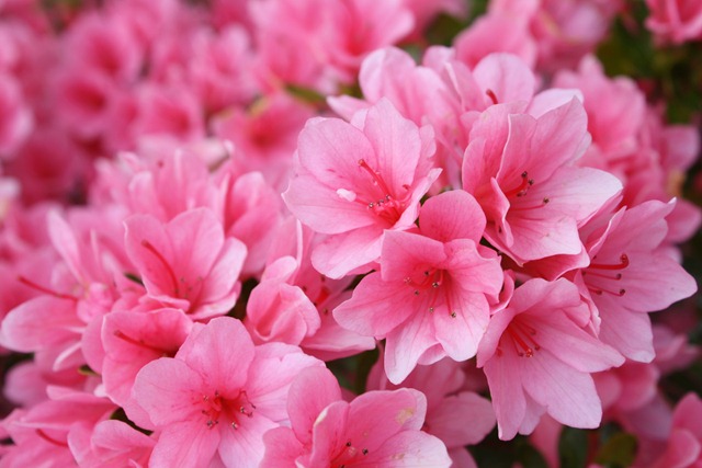 [April201105811.jpg]