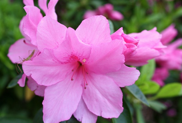 April 2011 045-1