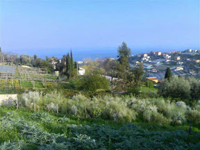Apartment 1 bedroom in Sanremo 50 mq