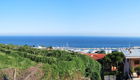 Land Plot in Sanremo 700 mq