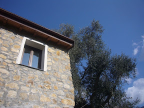 Italy property sale in Liguria, Vallebona