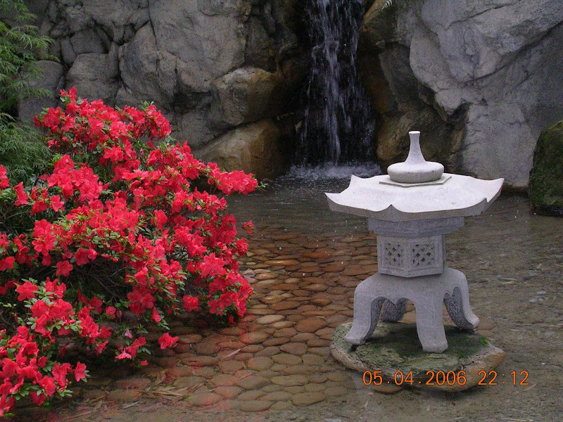 DSCN0601.JPG