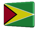Guyana flag animation
