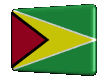 Rotated Guyana flag