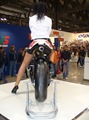 Simoncelli 12