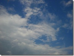 2010-12-12 15.17.39