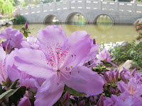 IMG_8883.JPG