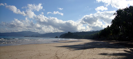 Dsc00041