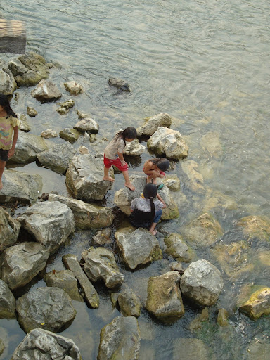 Dsc00843