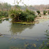 Dsc00949