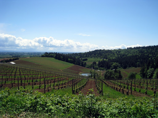 valley