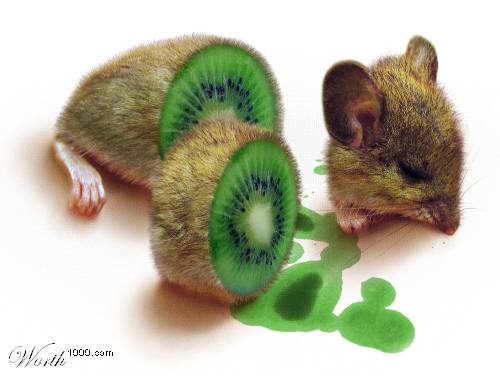 http://lh6.ggpht.com/_4ldr4Y6l5WA/R2uknsfYUcI/AAAAAAAACw4/wsS-JxSAdo0/hamster.jpg