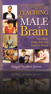 Teaching-the-Male-Brain