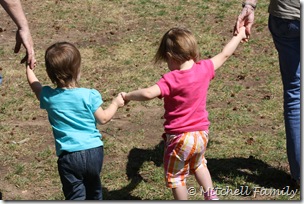 IMG_6631 IMG_6631