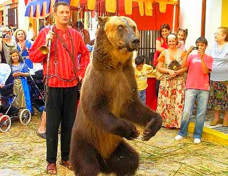 [circo_dancing-bear[6].jpg]